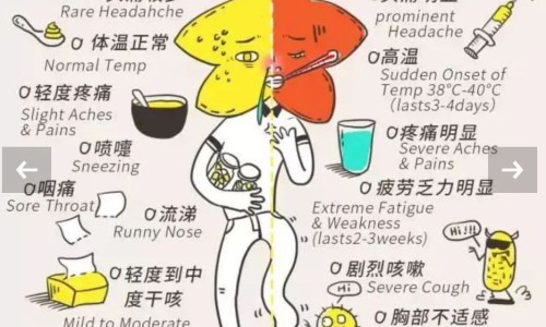 云南苦良姜中药名-中草药苦良姜图片网—知名的苦良姜的功能主治网站,分享苦良姜图片大全知识