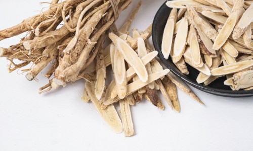 中草药苦良姜图片高清-中草药苦良姜图片网—知名的苦良姜的功能主治网站,分享苦良姜图片大全知识